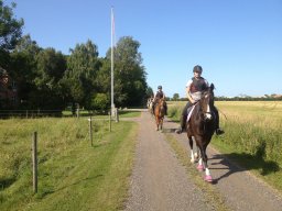 img_1490_web